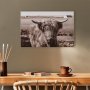 Taulu - A Scottish Cow in Sepia