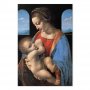 Taulu - Leonardo da Vinci – Madonna Litta