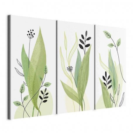 Taulu - Green Day (3 Parts)