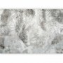 Fototapetti - Light and shadow - grey and white composition with floral motif and pattern