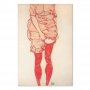 Taulu - Egon Schiele – Standing Woman in Red