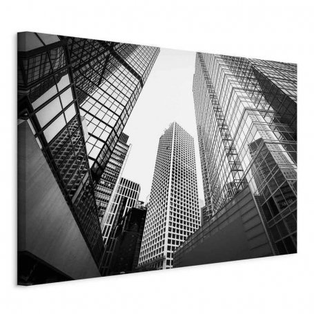 Taulu - In a Big City (1 Part) Wide - Second Variant