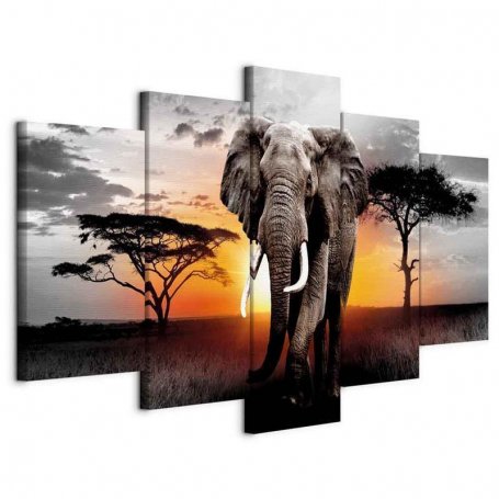 Taulu - Elephant at Sunset