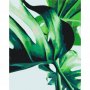 DIY kangas maalaus - Monstera Adansonii