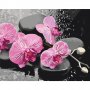 DIY kangas maalaus - Orchid With Zen Stones (Black Background)
