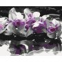 DIY kangas maalaus - Purple Orchid (Black Background & Reflection In The Water)