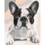 DIY kangas maalaus - French Bulldog