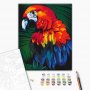 DIY kangas maalaus - Parrot