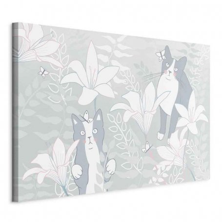 Taulu - Cat Matters (1 Part) Wide - First Variant