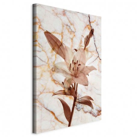 Taulu - Elegance of a Flower (1-part) - Delicate Lily on Marble in Sepia