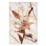 Taulu - Elegance of a Flower (1-part) - Delicate Lily on Marble in Sepia