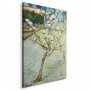 Taulu - Vincent van Gogh – Blossoming Pear Tree