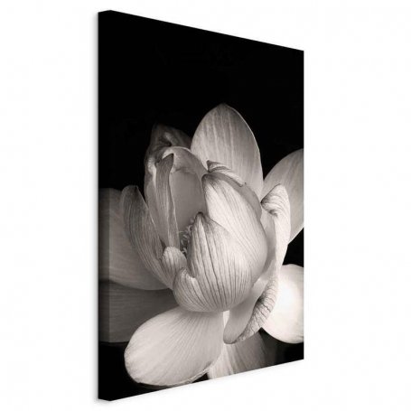 Taulu - Delicacy of Petals in Nature (1-part) - Flower in Black and White